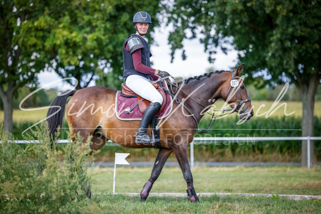 20250905-_3LI0208 | Tierfotografie Pferde, Hunde, Katzen, Haustiere.
Turnierfotografie Reitturniere, Reiten, Springreiten, Dressur in Hanau, dem Main-Kinzig-Kreis und dem Rhein-Main- Gebiet um Frankfurt