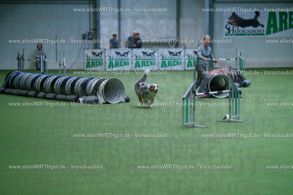 @allesWIRTHgut_Tierfotografie - www.allesWIRTHgut.de - 2604251046-7R500126 | Professionelle Tierfotografie in Mönchengladbach von Daniel Wirth (allesWIRTHgut). Liebevolle & natürliche Bilder von Hunden & Katzen für unvergessliche Erinnerungen.