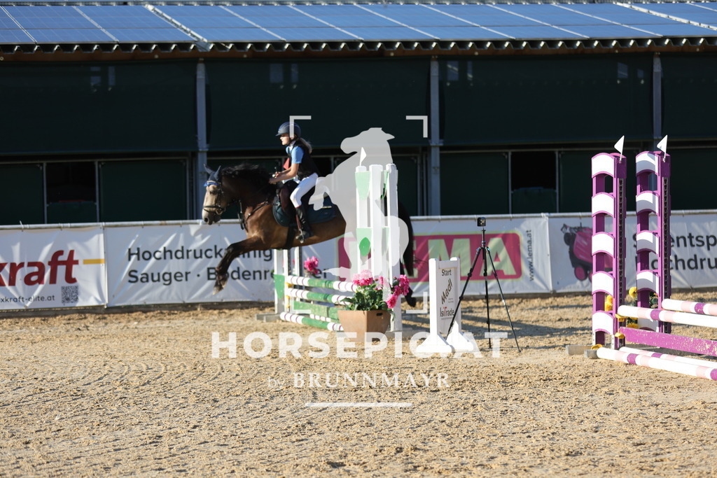 0P6A6581 | Willkommen bei Brunnmayr - Design & Fotografie – Ihrem Spezialisten für Reitturniere und Pferdeveranstaltungen in Oberösterreich, Salzburg und Bayern! Seit über 17 Jahren sind wir leidenschaftlich dabei.