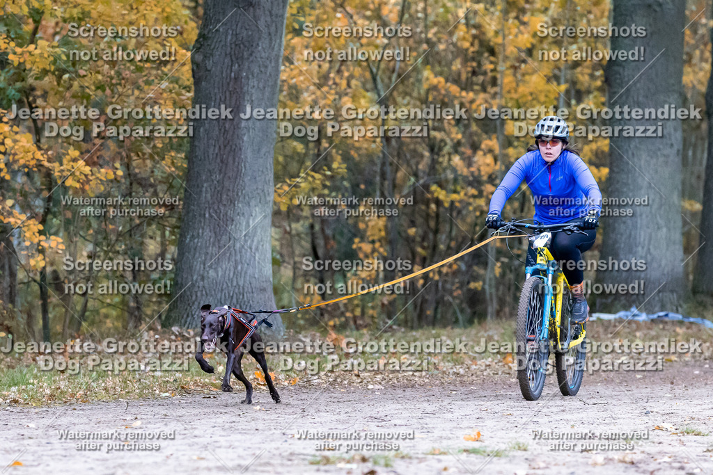 Dog Paparazzi - SD CaniX Championship 2025-262 | Dog Paparazzi Jeanette Grottendiek Fotografie & Videografie - Realisiert mit Pictrs.com