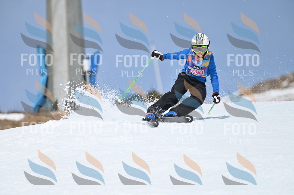 BGV_2065 | holidayphoto