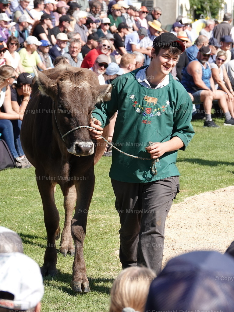 DSC05584 | Schwingen - Realisiert mit Pictrs.com