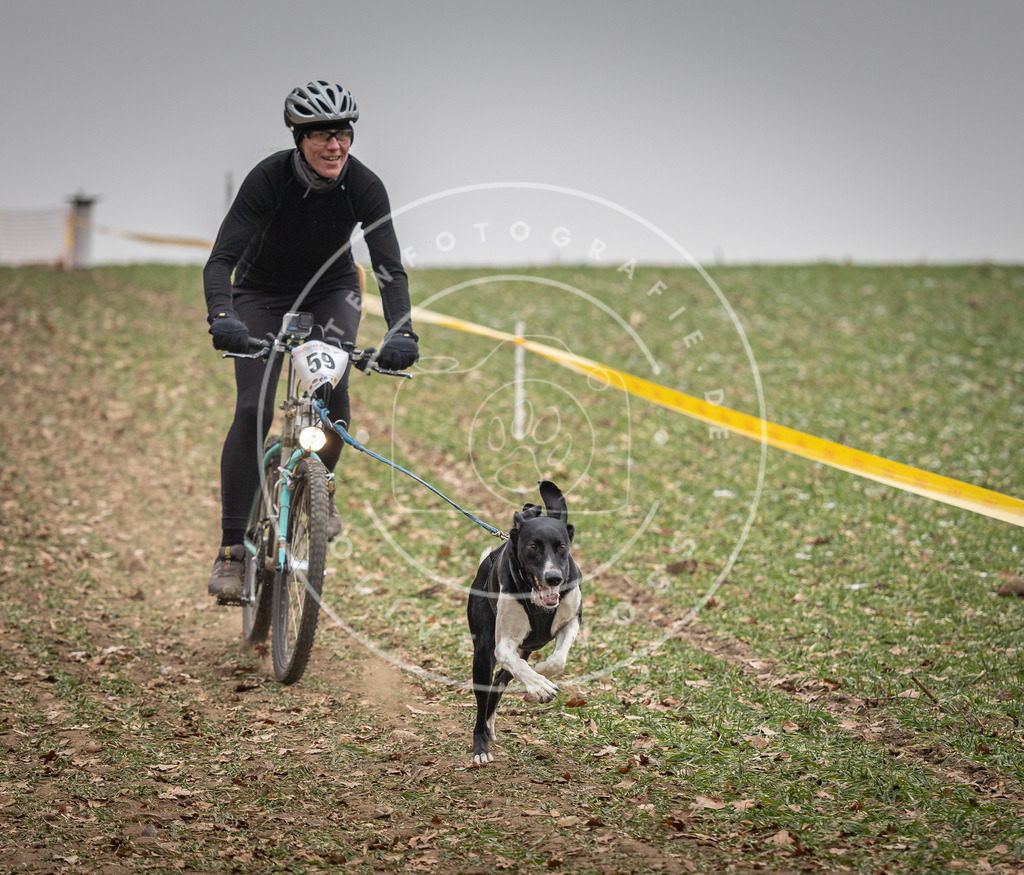 Pfotenfotografie_DV3A2598 | Hundefotografie, Tierfotograf, Pfotenfotografie, Fotoshooting Hund, Hunde Portrait, Hundesport, Hundeportraits, Heideshooting, Hunde, Sportfotograf, Hundefotograf, Turnierhundsport, THS,  - Realisiert mit Pictrs.com