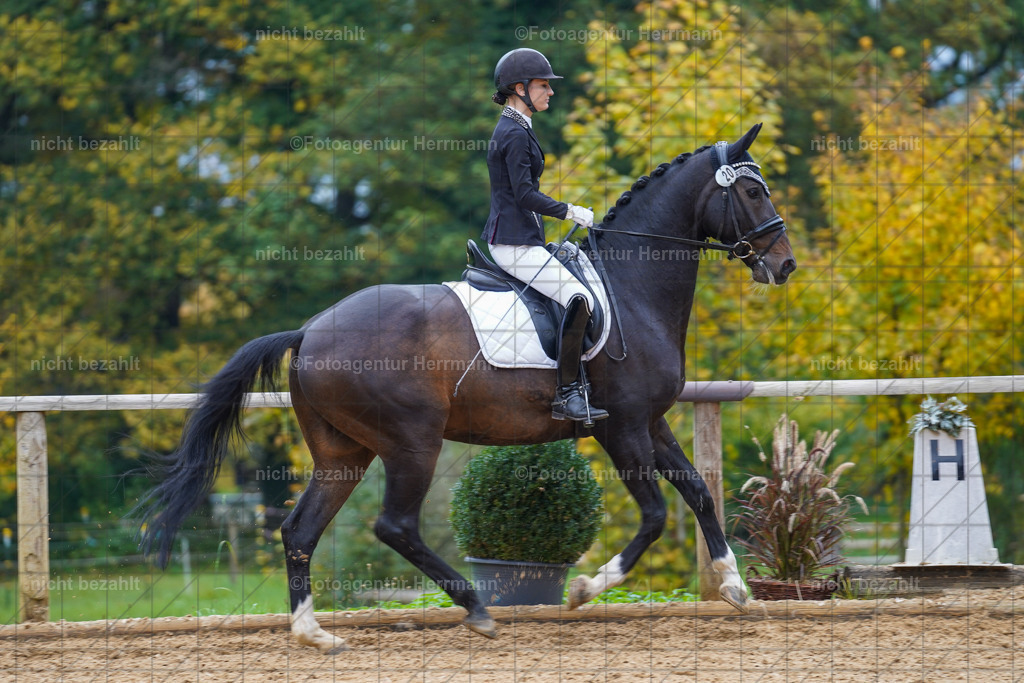 20221008-FAH01758 | Diessen am Ammersee, 2022, Dressur- und Springturnier, Reitsportbilder, Turnierfotografen Bayern, Pferdefotografen, Fotoagentur Herrmann, Turnierbilder