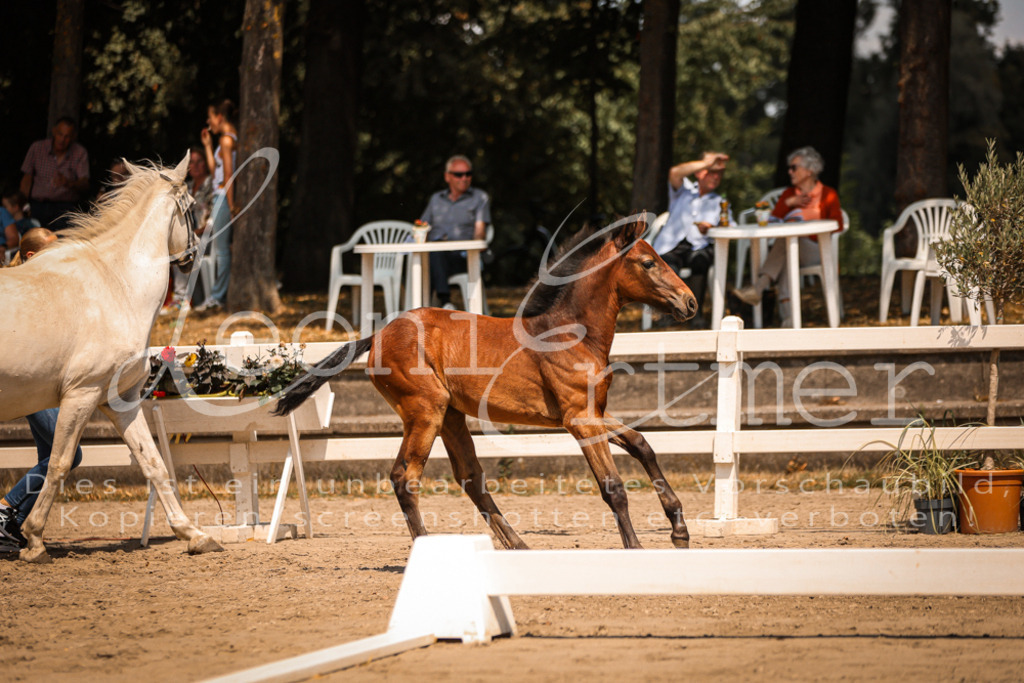 03.DoAB00040 | Leoni Ertmer Photography - Realisiert mit Pictrs.com