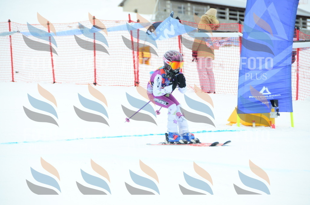 DSC_0775 | holidayphoto