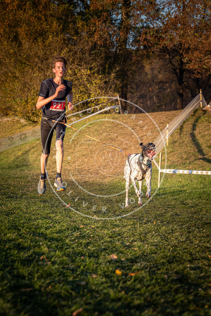 CaniXpix_0L8A1605 | Hundefotografie, Tierfotograf, Pfotenfotografie, Fotoshooting Hund, Hunde Portrait, Hundesport, Hundeportraits, Heideshooting, Hunde, Sportfotograf, Hundefotograf, Turnierhundsport, THS,  - Realisiert mit Pictrs.com