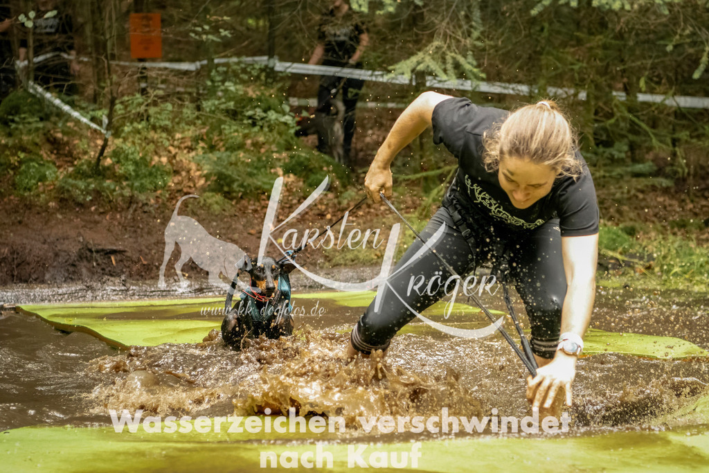 1216_ZZ93429-Bearbeitet | kk-dogfotos
