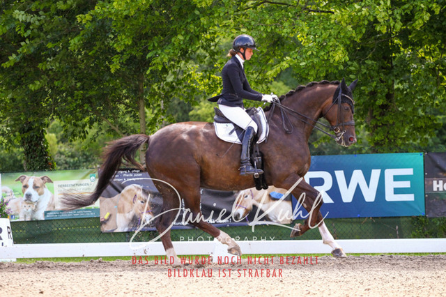 DKP40956 | Turnierfotos kaufen im Webshop von Daniel Kuhl Photography – entdecke professionelle Reitsportfotos aus Turnieren & Events. Hochwertige Turnierbilder online bestellen & sichern. Jetzt Fotos von Reitsportturnieren kaufen!