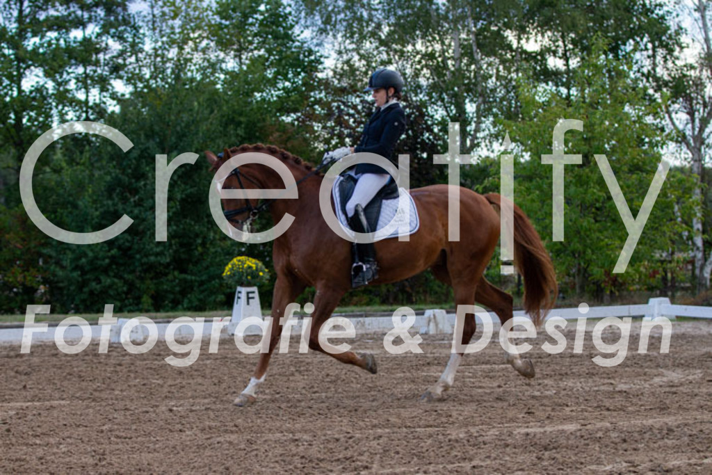 IMG_4233 | Creatify Fotografie