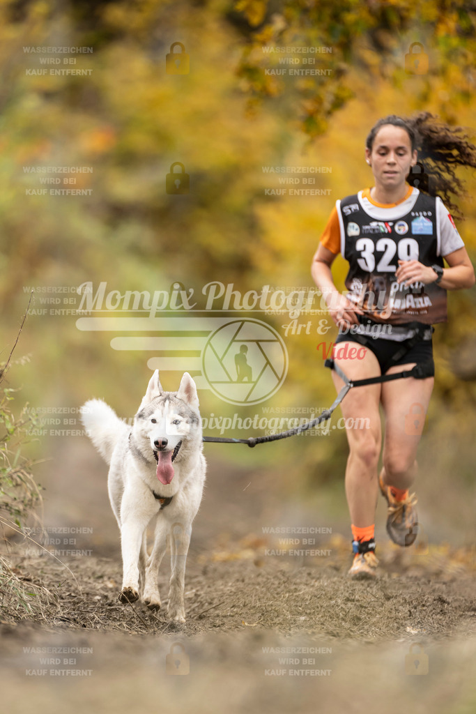 MompixPhotography_ICF_WC_2024_SA_Run_-237 | PayLife