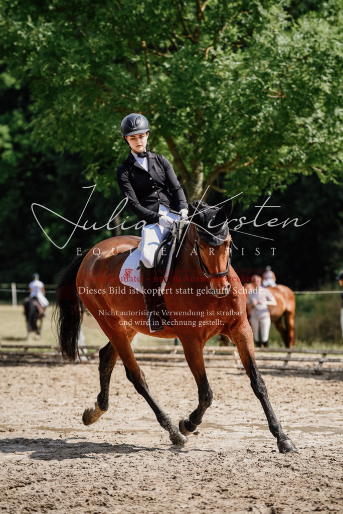 DSC_0974 | Pferde- und Turnierfotografie in Westsachsen. Pferdeportraits, Auftragszeichnungen und intuitive Kunst.