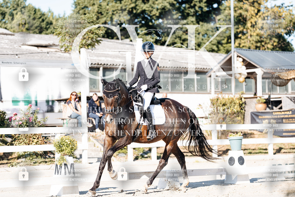 CK907206 | Turnierfotografie Pferdefotografie Trier Rheinland-Pfalz Pferdesport Reitsport Tierfotografie Sportfotografie Pferdevideo Pferdevideografie Equestrianvideography equestrianphotography  - Realisiert mit Pictrs.com