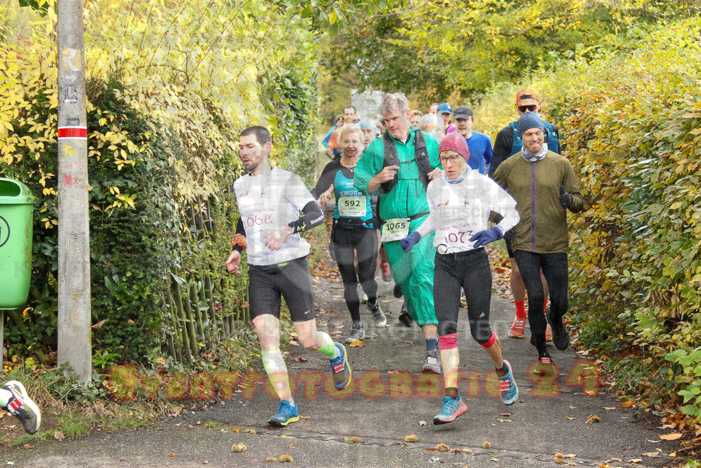 251026_1004_EV4_4004 | Sportfotografie im Rhein-Sieg Kreis, Köln, Bonn, NRW, Rheinland Pfalz, Hessen, etc. Unser Tätigkeitsfeld umfasst den Laufsport vom Volkslauf über den Marathon, Duathlon, Triathon bis zum Ultralauf wie Kölnpfad Ultra oder Schindertrail.