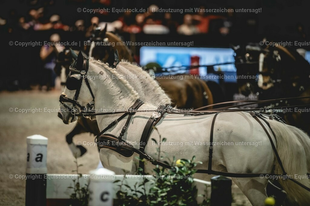 20240203_FEI-Driving-World-Cup_0007 | Foto: Thomas Hartig