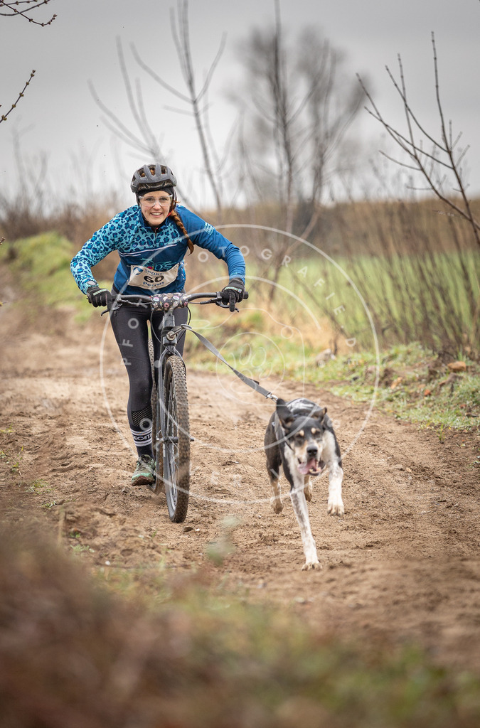 DV3A9190 | Hundefotografie, Tierfotograf, Pfotenfotografie, Fotoshooting Hund, Hunde Portrait, Hundesport, Hundeportraits, Heideshooting, Hunde, Sportfotograf, Hundefotograf, Turnierhundsport, THS,  - Realisiert mit Pictrs.com