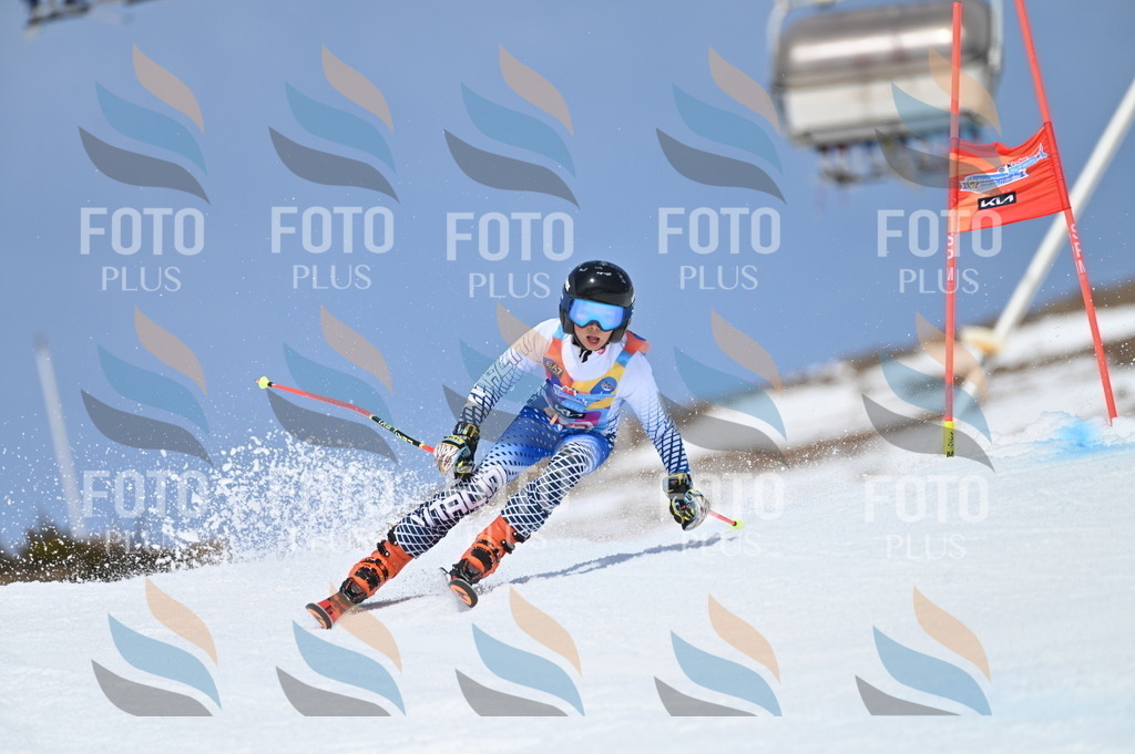 BGV_3179 | holidayphoto