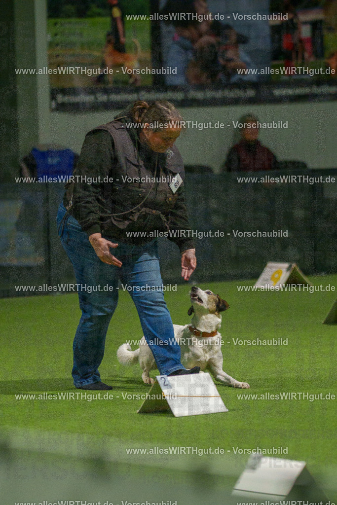 7R508606 | Professionelle Tierfotografie in Mönchengladbach von Daniel Wirth (allesWIRTHgut). Liebevolle & natürliche Bilder von Hunden & Katzen für unvergessliche Erinnerungen.