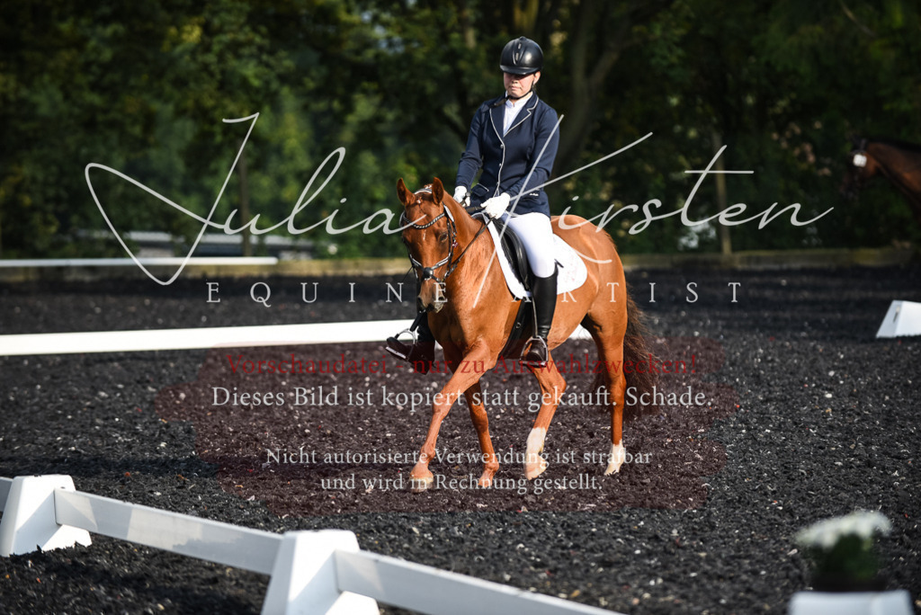 DSC_3451 | Pferde- und Turnierfotografie in Westsachsen. Pferdeportraits, Auftragszeichnungen und intuitive Kunst.