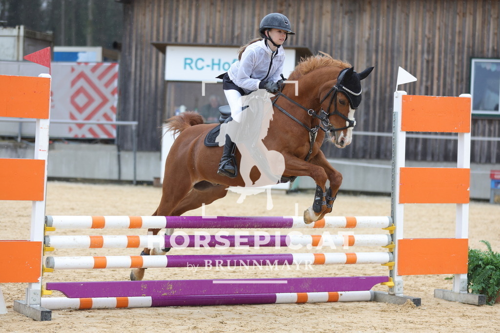 0P6A7143 | Willkommen bei Brunnmayr - Design & Fotografie – Ihrem Spezialisten für Reitturniere und Pferdeveranstaltungen in Oberösterreich, Salzburg und Bayern! Seit über 17 Jahren sind wir leidenschaftlich dabei.