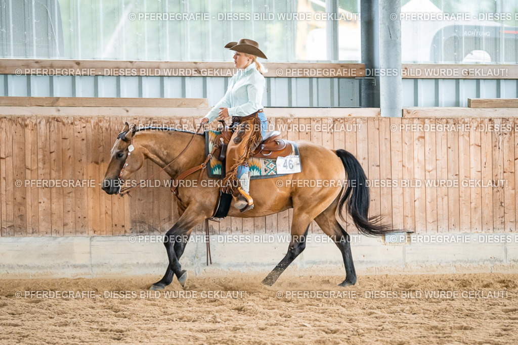 DSC00448 | Pferdegrafie