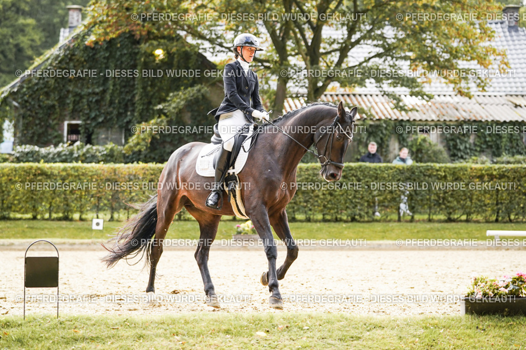 DSC00897 | Pferdegrafie