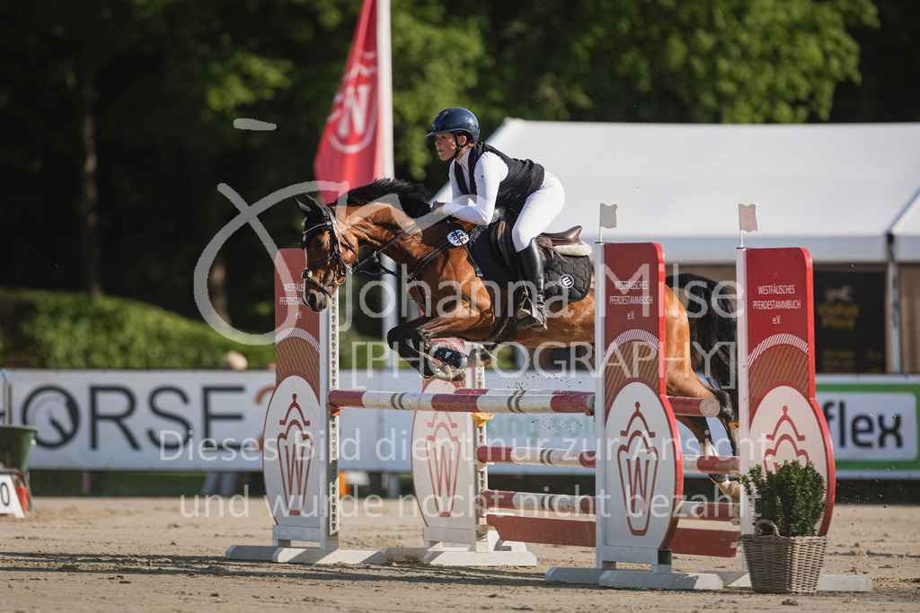 250501_MünsterHandorf_PonyTrophy-234 | Deine schönsten Turniermomente als professionelle Fotos! Entdecke hochwertige Pferdesport-Fotografie im Online-Shop. Jetzt Fotos finden & bestellen!