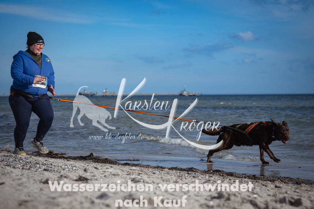 1334_ZZ92024 | kk-dogfotos