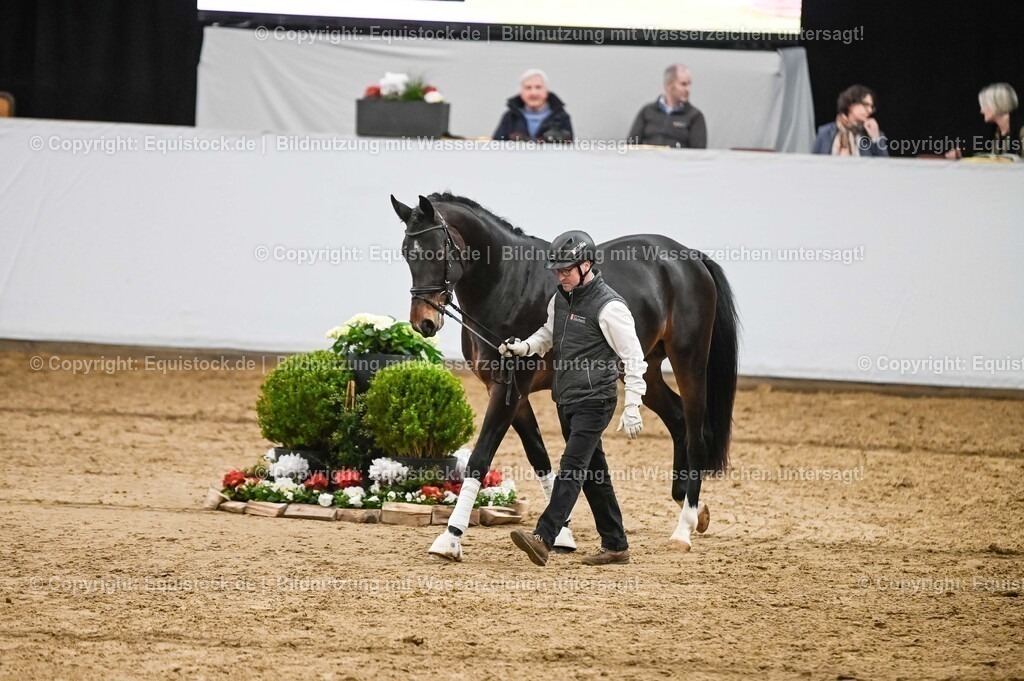 20260307_Hengstvorstellung-Marbach_0304 | equistock