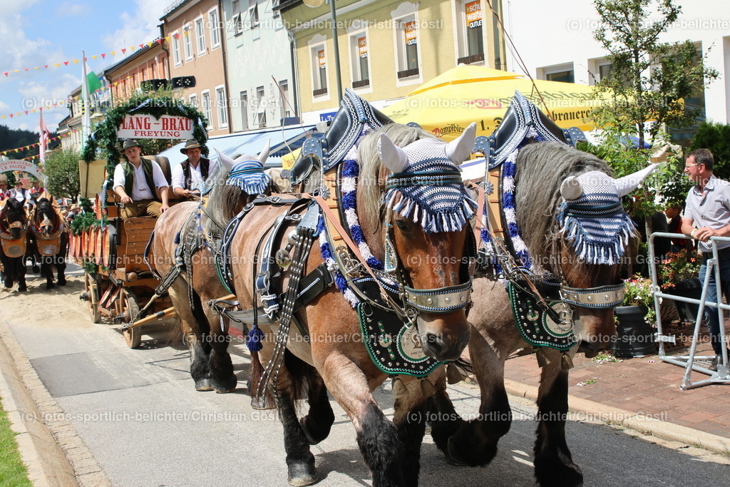 IMG_0390 | fotos-sportlich-belichtet - Realisiert mit Pictrs.com