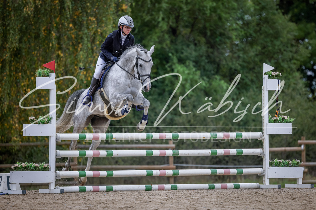20251012-_3LI4045 | Tierfotografie Pferde, Hunde, Katzen, Haustiere.
Turnierfotografie Reitturniere, Reiten, Springreiten, Dressur in Hanau, dem Main-Kinzig-Kreis und dem Rhein-Main- Gebiet um Frankfurt