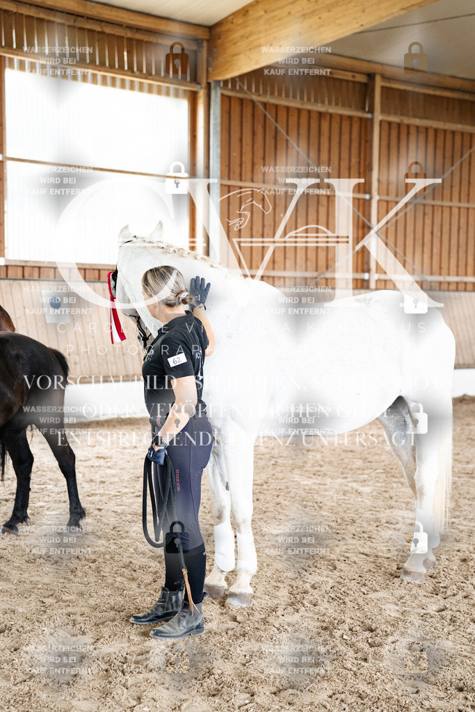 CK703281 | Turnierfotografie Pferdefotografie Trier Rheinland-Pfalz Pferdesport Reitsport Tierfotografie Sportfotografie Pferdevideo Pferdevideografie Equestrianvideography equestrianphotography  - Realisiert mit Pictrs.com