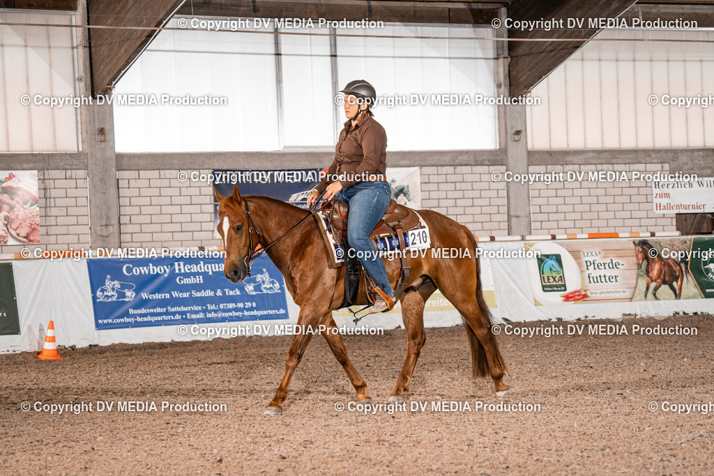 ZH100053 | dv-media-shop - Realisiert mit Pictrs.com