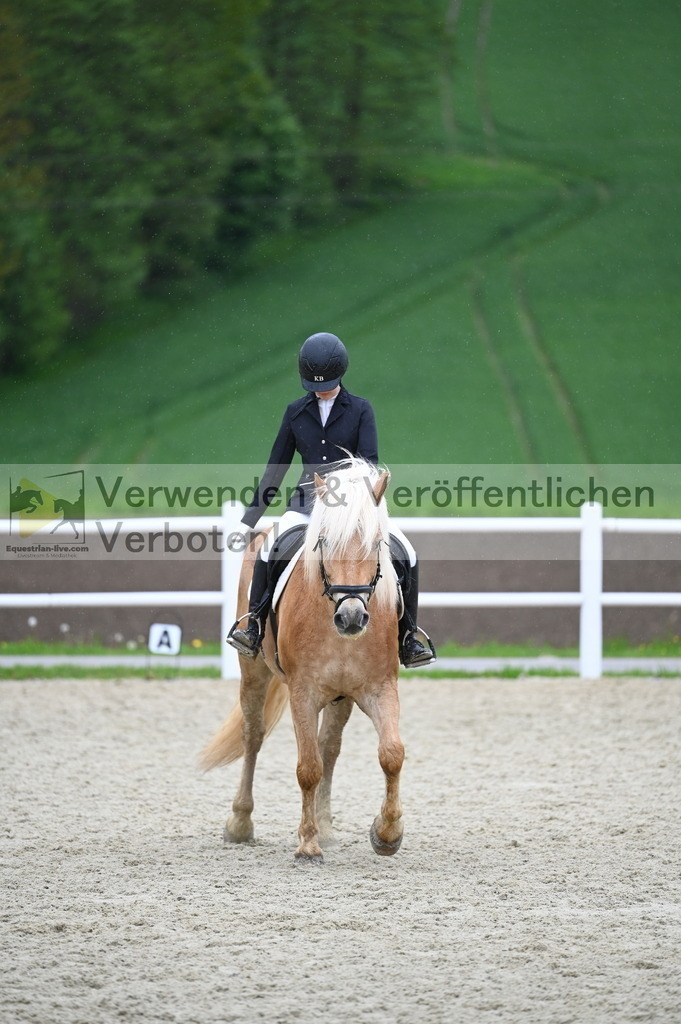 DSC_0158 | equestrian-live-com