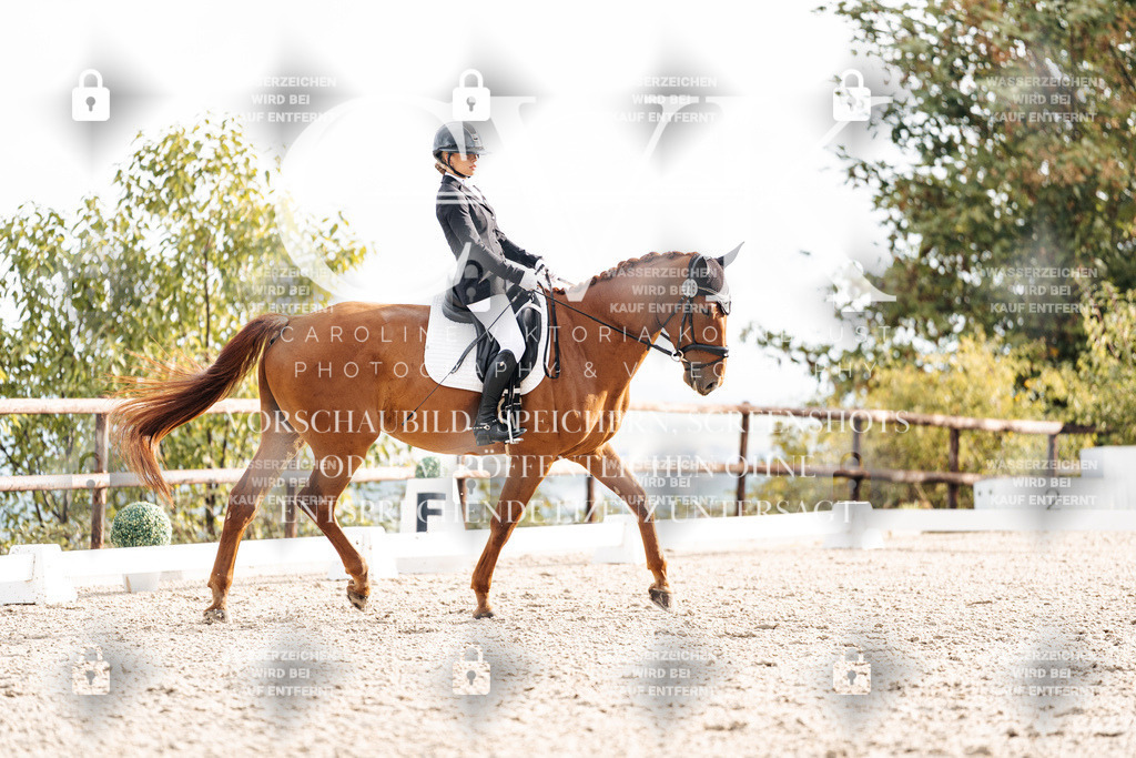 CK900637 | Turnierfotografie Pferdefotografie Trier Rheinland-Pfalz Pferdesport Reitsport Tierfotografie Sportfotografie Pferdevideo Pferdevideografie Equestrianvideography equestrianphotography  - Realisiert mit Pictrs.com