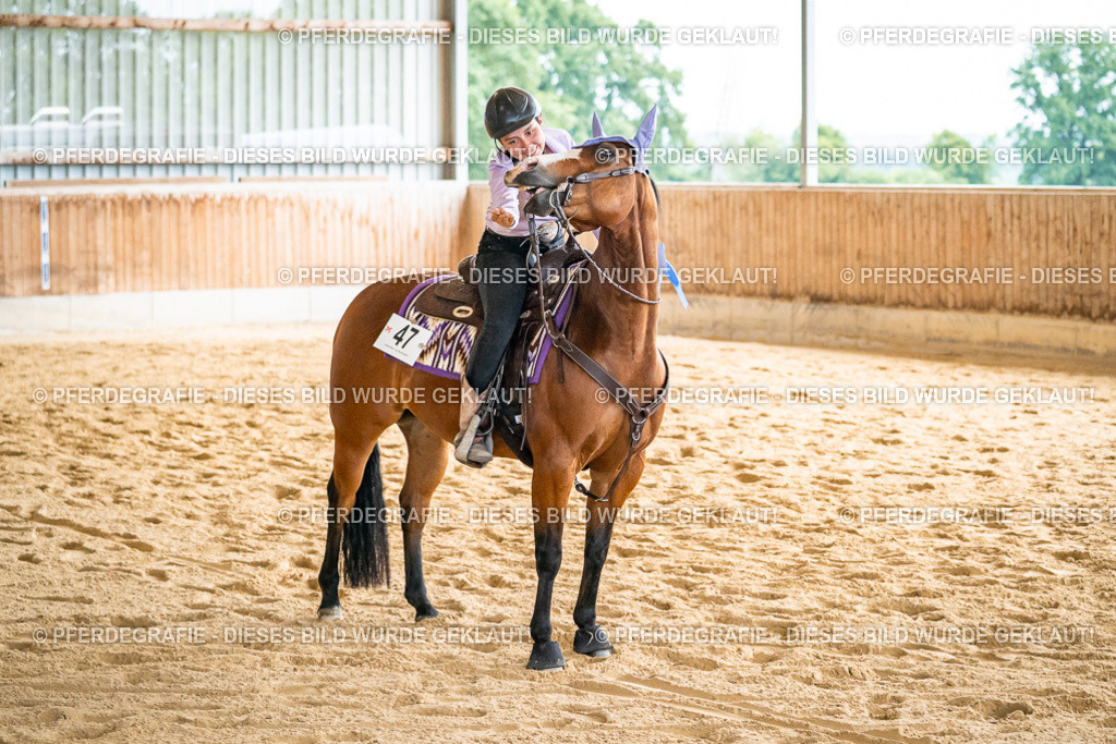 DSC07594 | Pferdegrafie