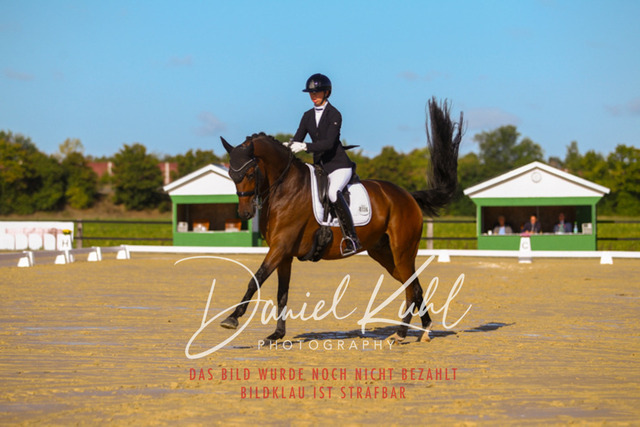 DKP44962 | Turniersportfotografie; Pferdefotografie; Dressurfotografie