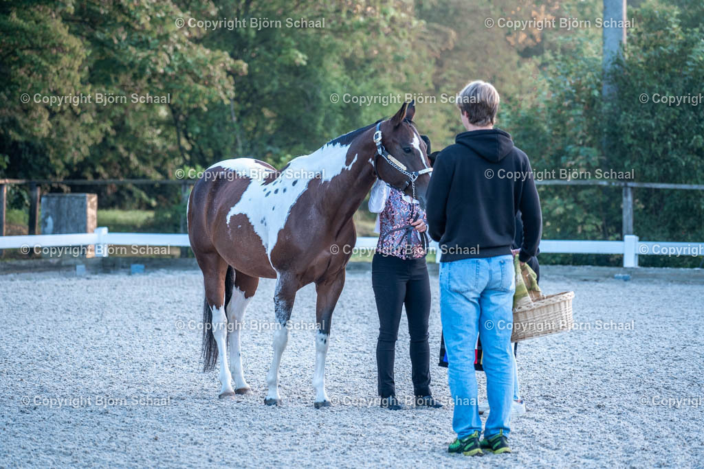 HOB07619 | BS-foto