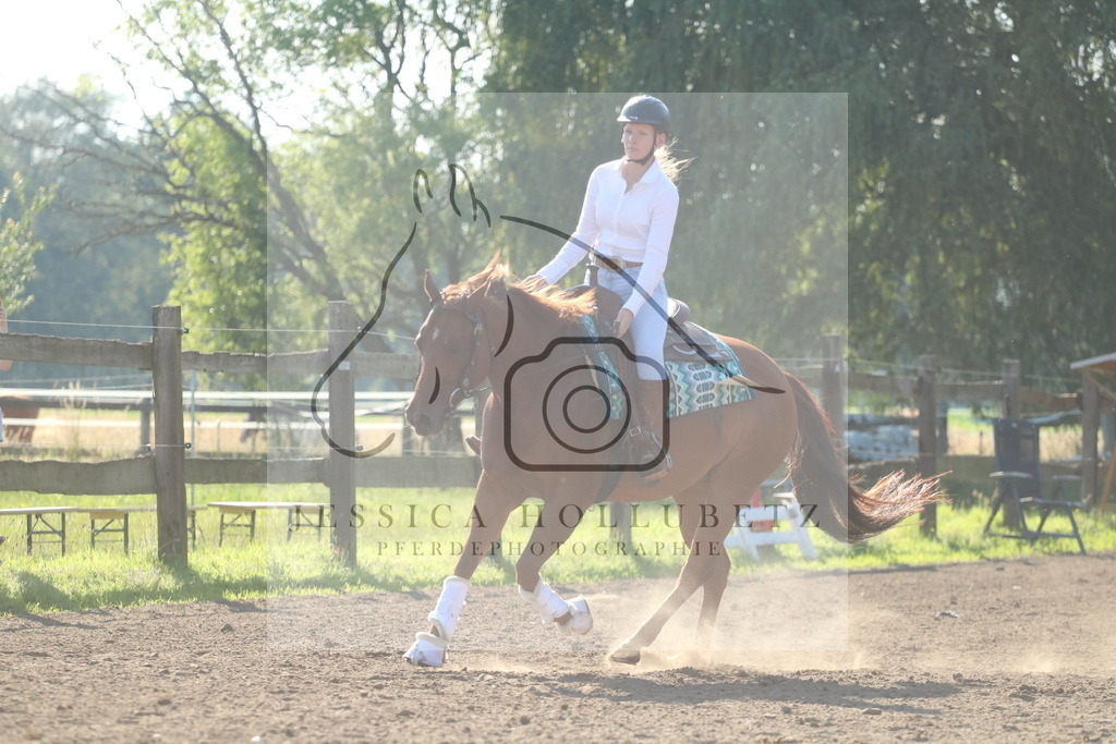 IMG_3519 | jessicahollubetz_pferdephotographie - Realisiert mit Pictrs.com