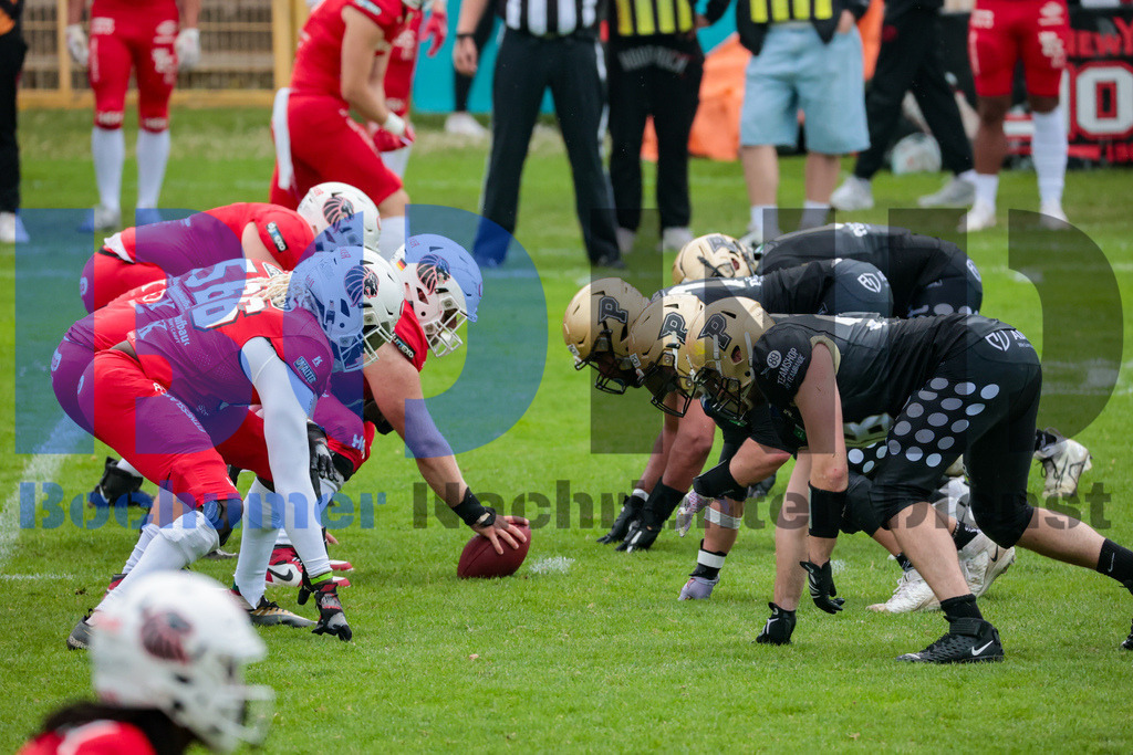GFL: Paderborn Dolphins vs. New Yorker Lions{date} -  | {headline}(Foto: Sebastian Sendlak / BOND) - Realisiert mit Pictrs.com