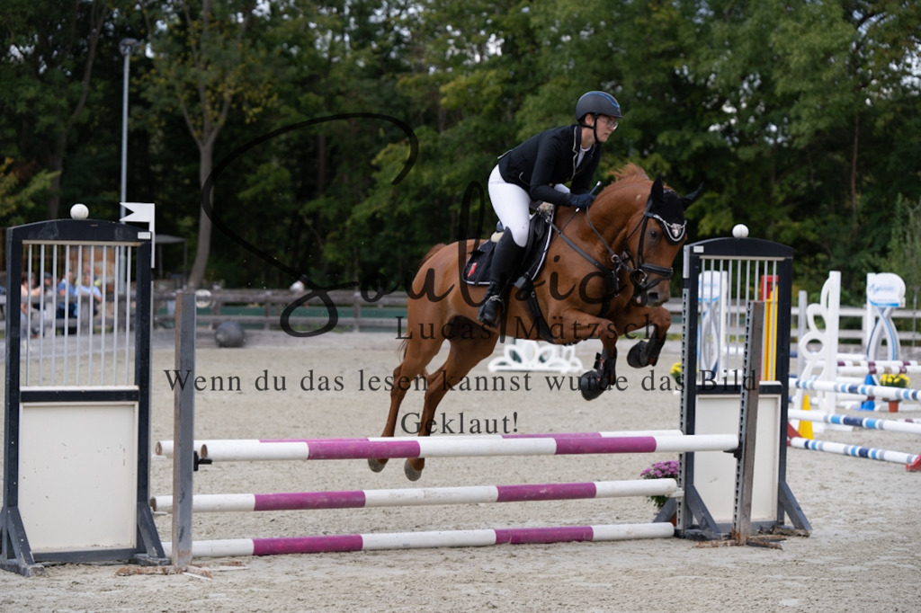 A7V07321 | Turnier/Reitfotograf