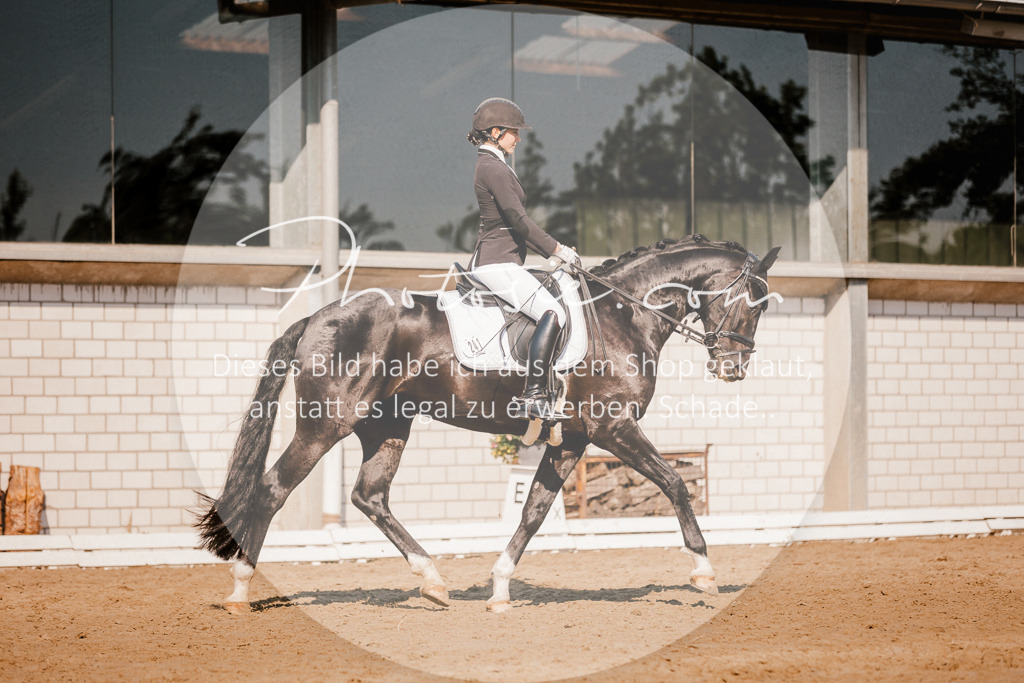3I6A9026 | Stimmungsvolle Portraits und Reitsportfotografie im Ruhrgebiet und im Münsterland.

Pferdefotografie, Hundefotografie, Tierfotografie, Reportagen, Portraits von Tier und Mensch, Turnierfotografie in Bochum, Recklinghausen, Marl, Haltern am See, Dülmen.. - Realisiert mit Pictrs.com