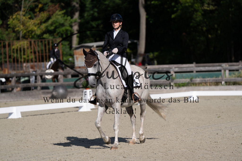A7V06893 | Turnier/Reitfotograf