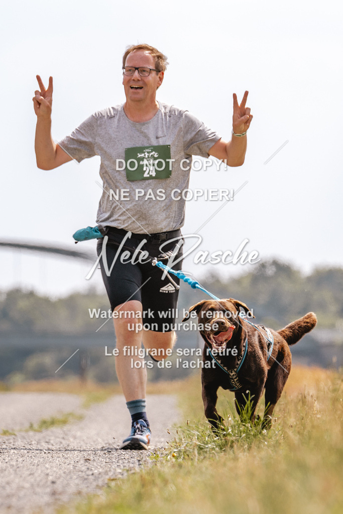 BUHU_CC_111 | nelerasche