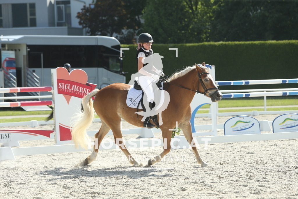 DL2Q0946 | Willkommen bei Brunnmayr - Design & Fotografie – Ihrem Spezialisten für Reitturniere und Pferdeveranstaltungen in Oberösterreich, Salzburg und Bayern! Seit über 17 Jahren sind wir leidenschaftlich dabei.