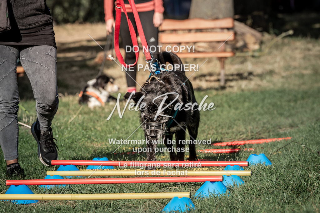 nelerasche_slaw24Sa_74 | nelerasche