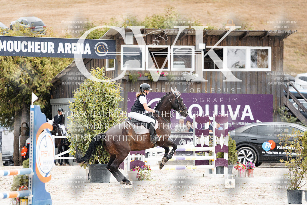 CK908565 | Turnierfotografie Pferdefotografie Trier Rheinland-Pfalz Pferdesport Reitsport Tierfotografie Sportfotografie Pferdevideo Pferdevideografie Equestrianvideography equestrianphotography  - Realisiert mit Pictrs.com
