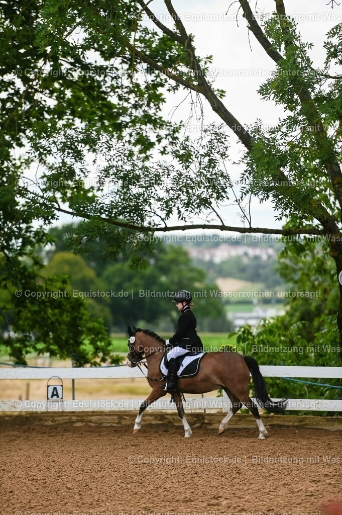 20230716_10-2_Reiter-WB Schritt - Trab - Galopp_0138 | equistock