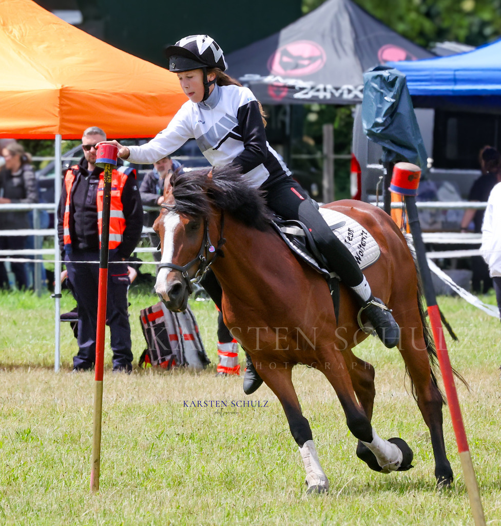 1B3A1222 | Reitsport Reiten
