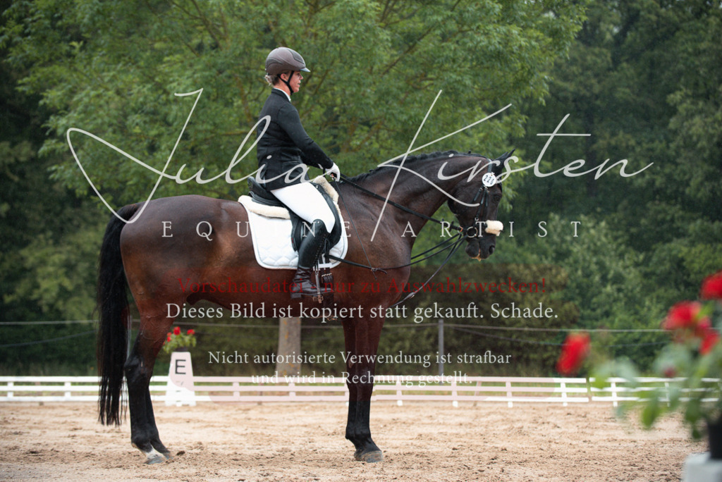 DSC_9709 | Pferde- und Turnierfotografie in Westsachsen. Pferdeportraits, Auftragszeichnungen und intuitive Kunst.